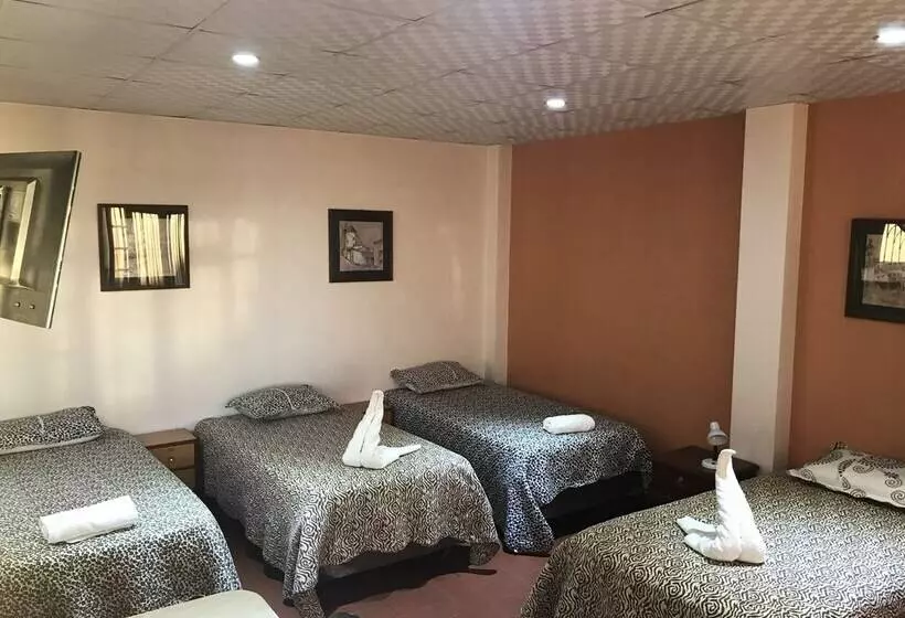 هاستل Cittadella Hostal