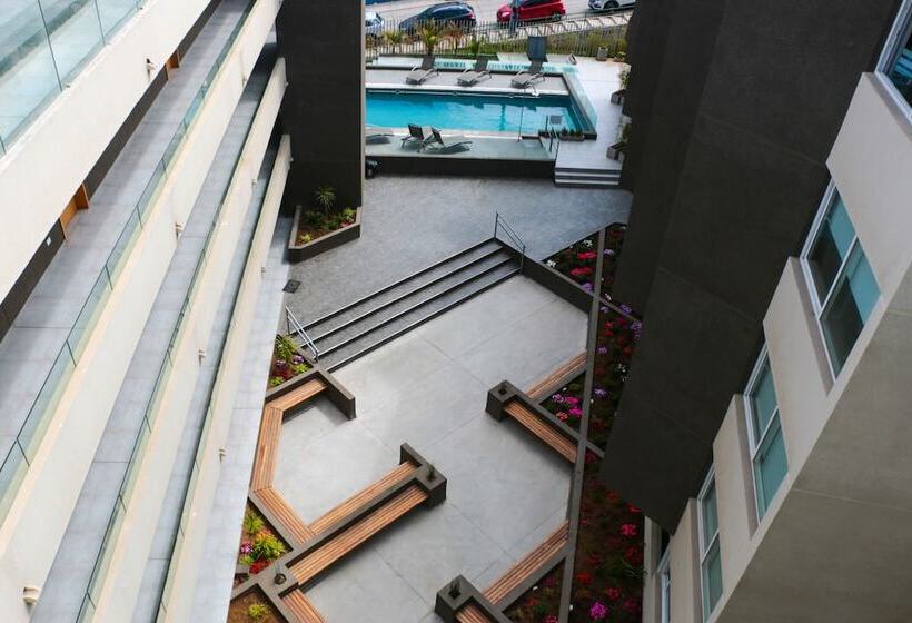 Fuente Mayor Reñaca