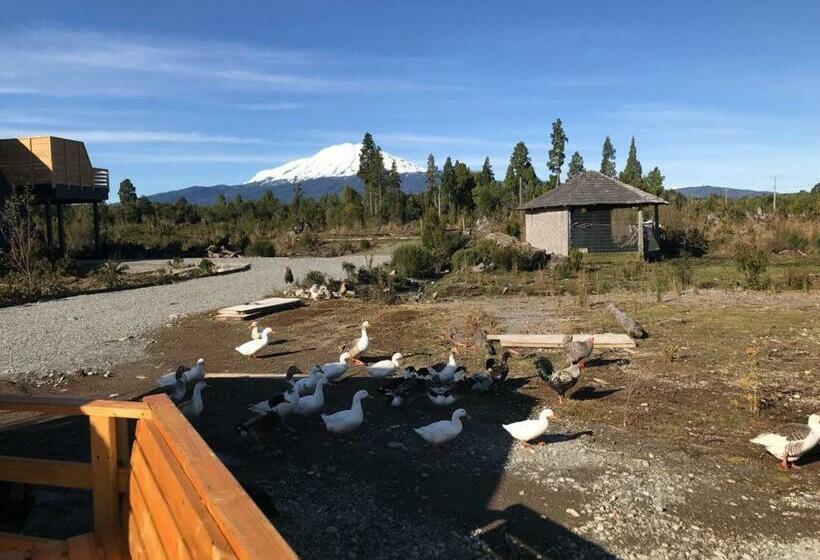 هتل Parque La Pajarera