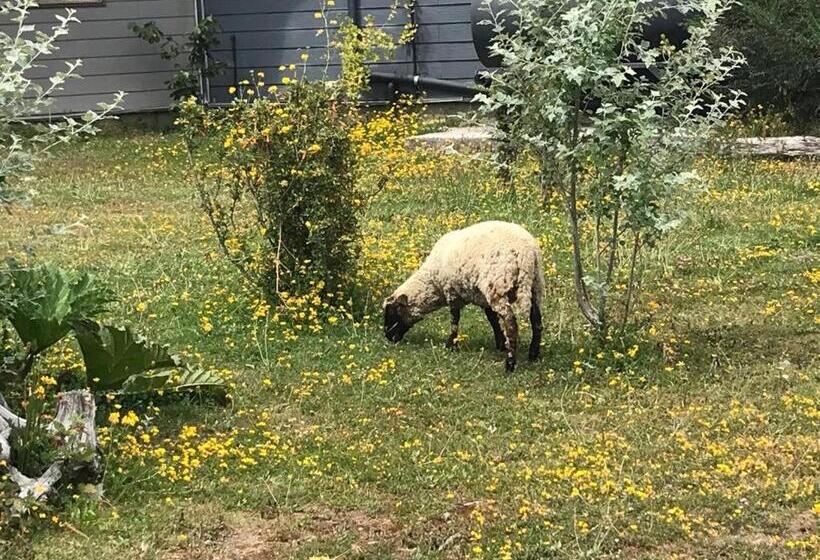 هتل Parque La Pajarera
