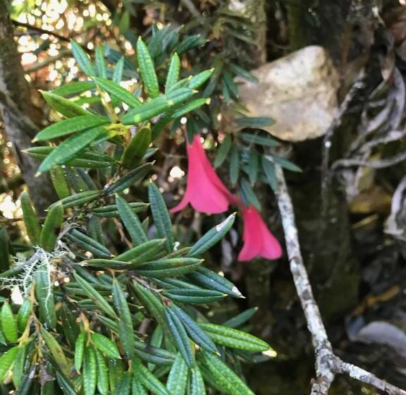 هتل Parque La Pajarera