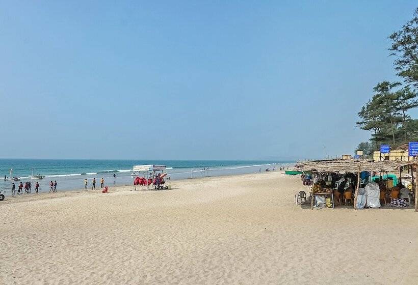 Oyo 24932 Hotel Royal Stay