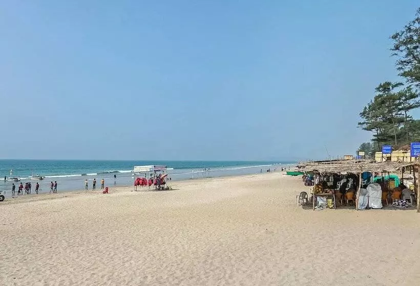 Oyo 24932 Hotel Royal Stay