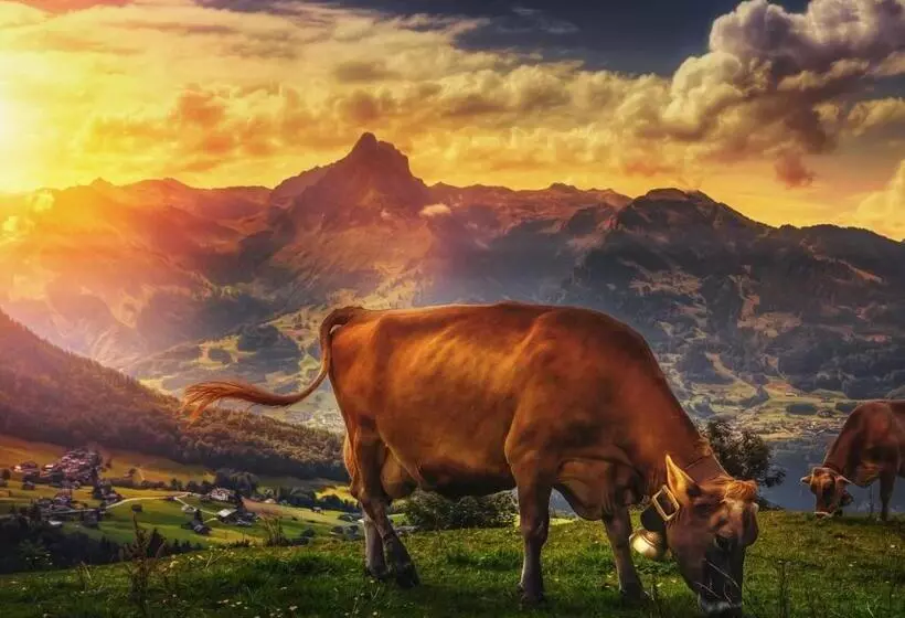 Hotelli Hôtel Du Soleil