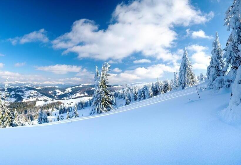 Отель Hôtel Du Soleil