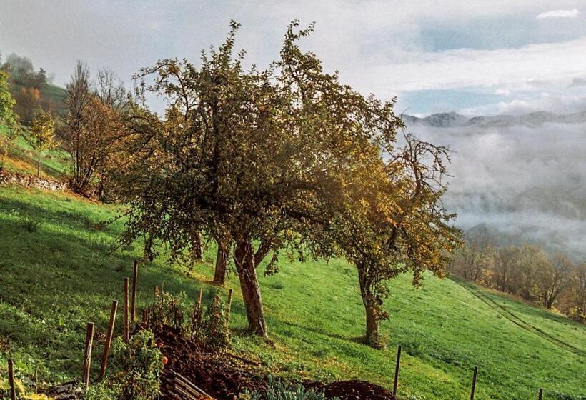 Отель Hôtel Du Soleil