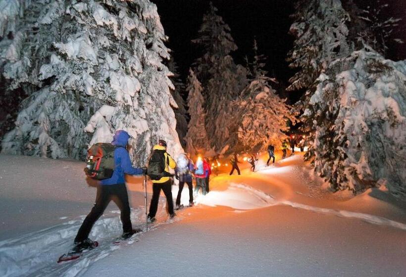 Отель Hôtel Du Soleil