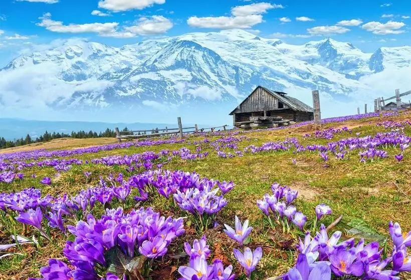 Hotelli Hôtel Du Soleil