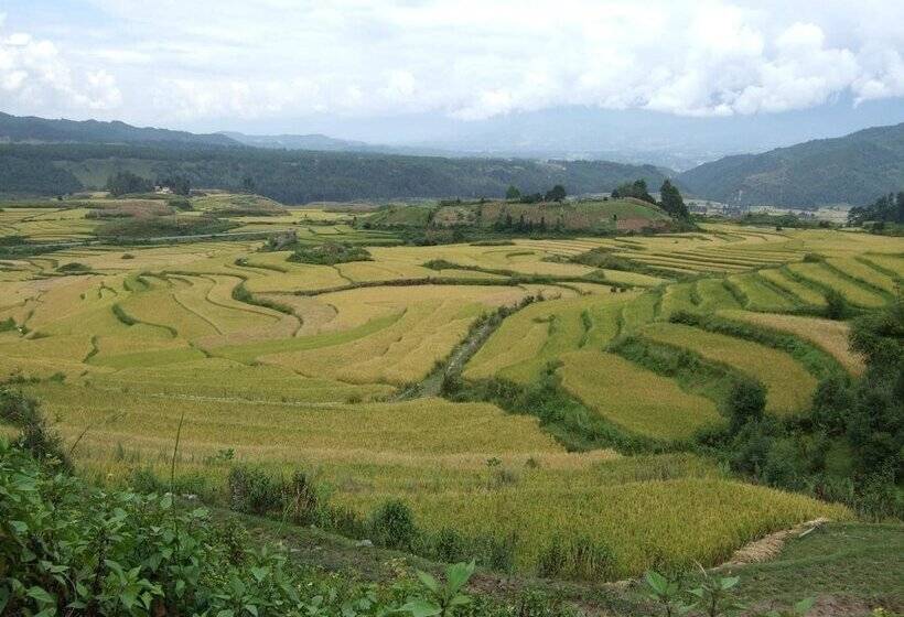 酒店 Palace International Hot Spring