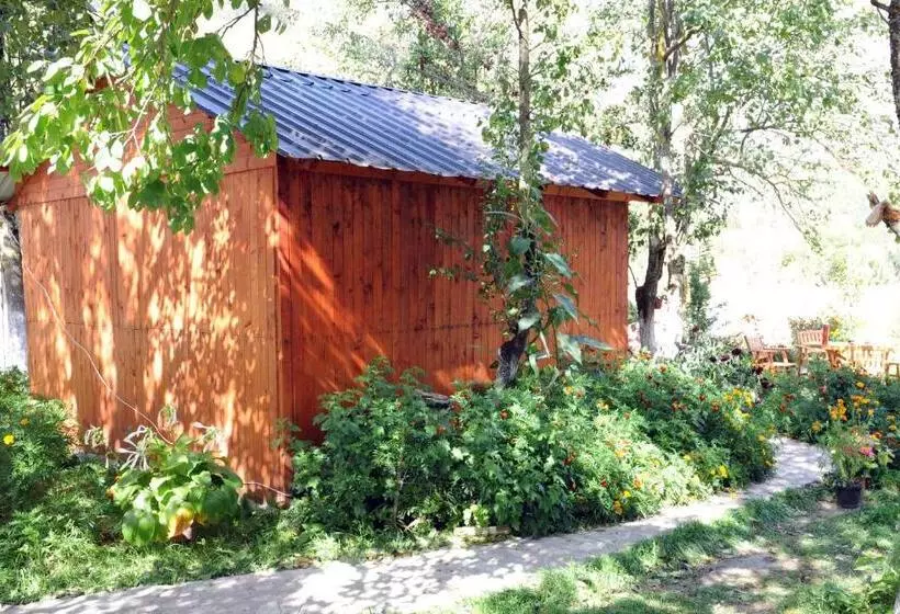 Majatalo Guesthouse Demushi