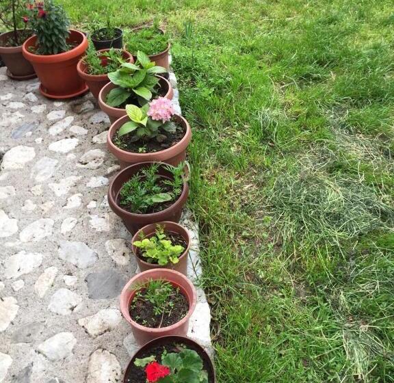 پانسیون Guesthouse Demushi