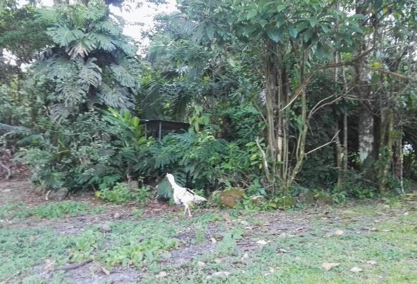 هتل Rancho Las Cabañas