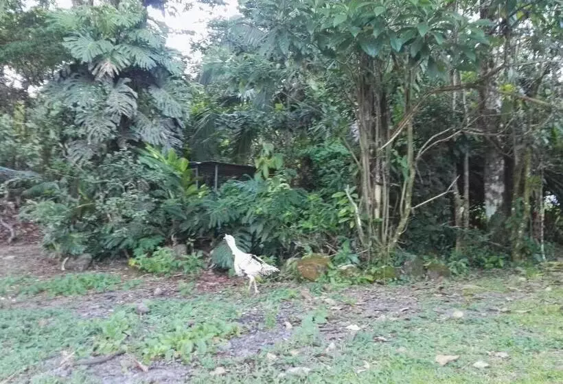 Hotelli Rancho Las Cabañas