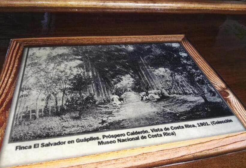 هتل Rancho Las Cabañas