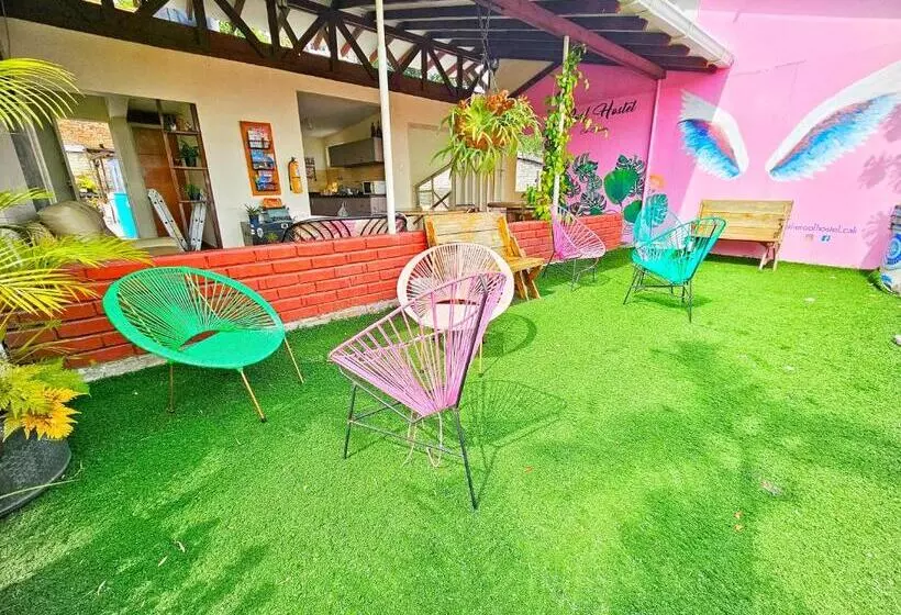 پانسیون Roof Hostel