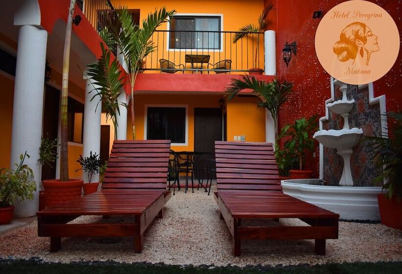 Hotel Peregrina