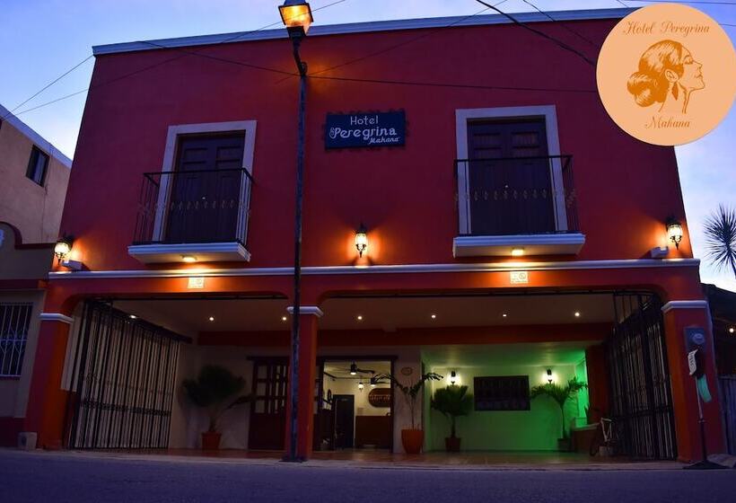 Hotel Peregrina