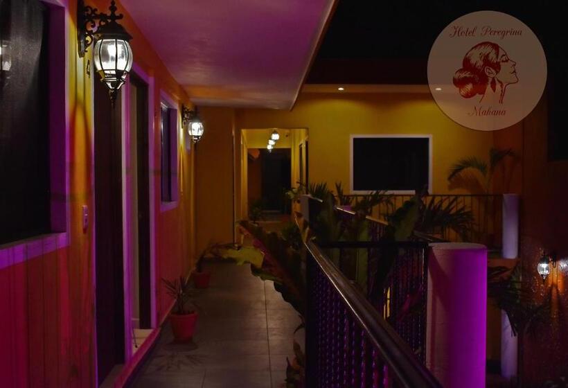 Hotel Peregrina