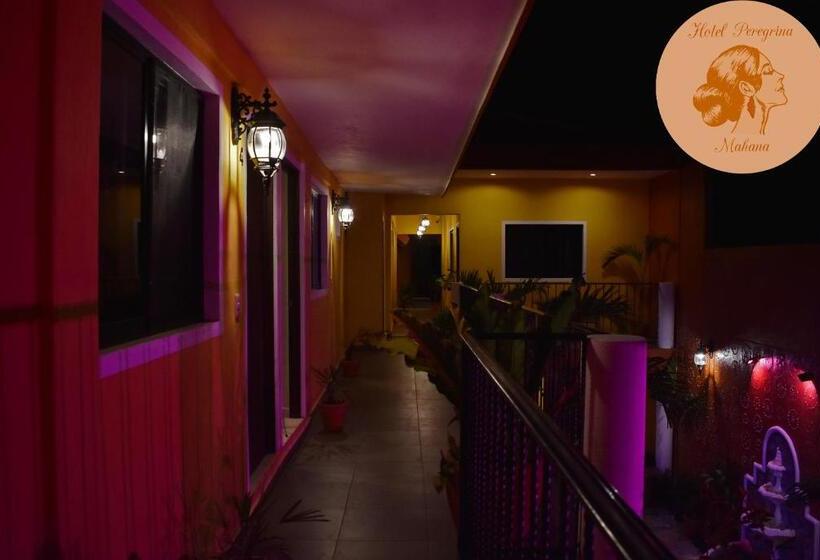 Hotel Peregrina