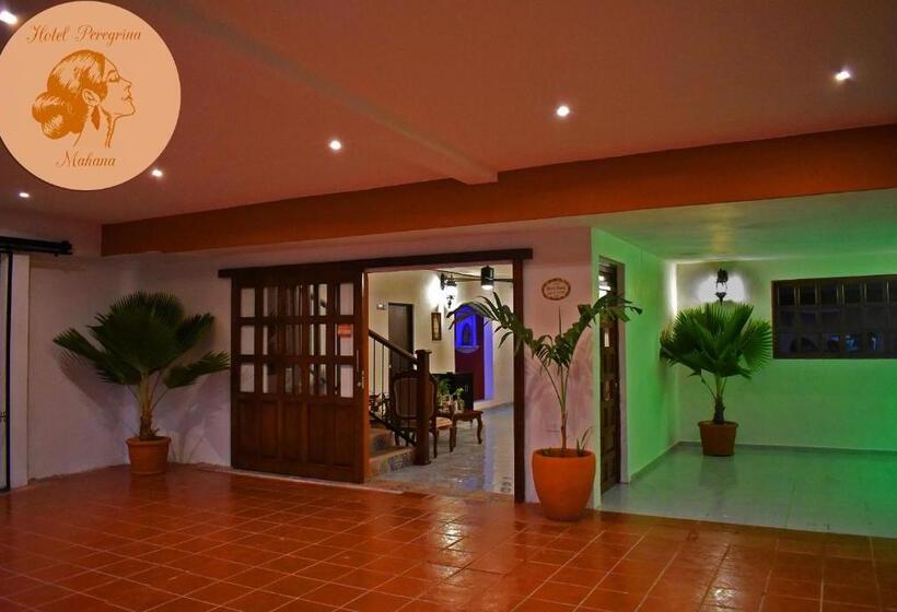 Hotel Peregrina