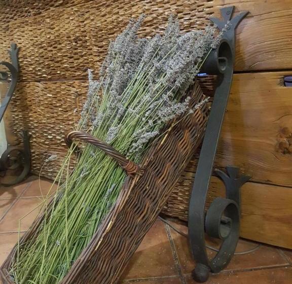 펜션 Hostal Rural Santa Barbara