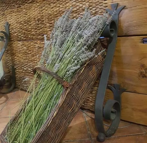 ペンション Hostal Rural Santa Barbara