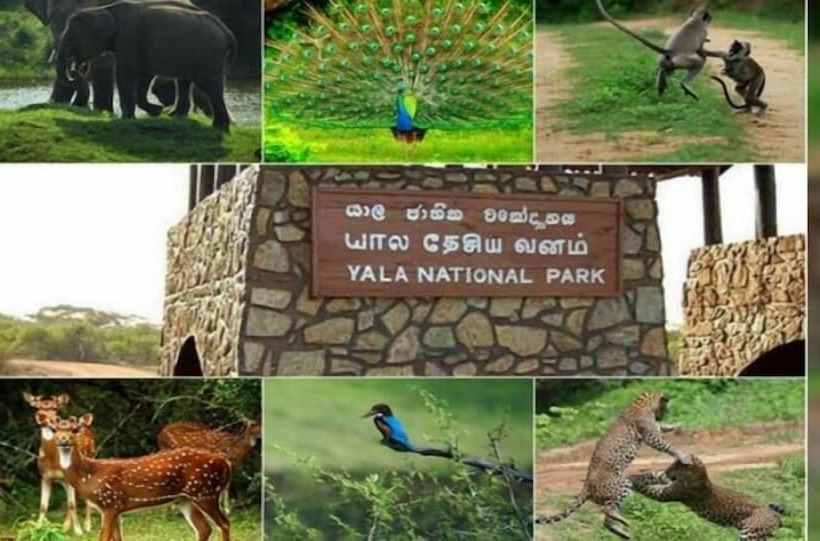 펜션 Thevindu Guest & Red Mud Resturent