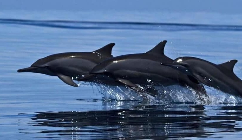 펜션 Thevindu Guest & Red Mud Resturent