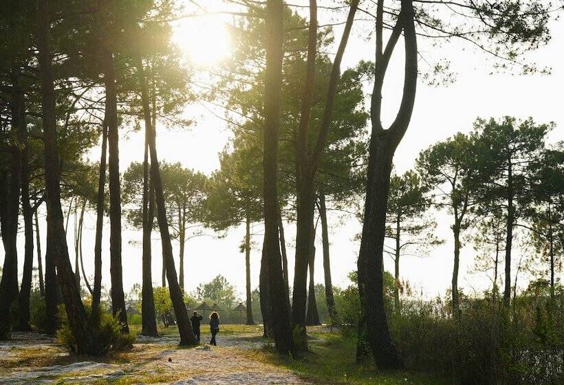 هتل Azureva Lacanau