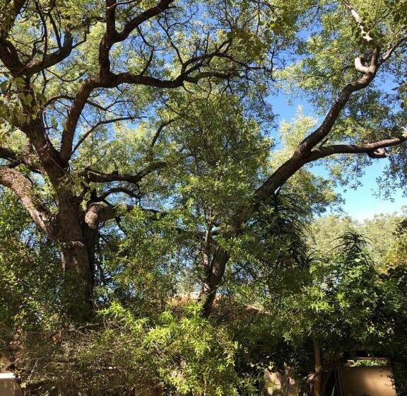 بنسيون Mosate Guest House