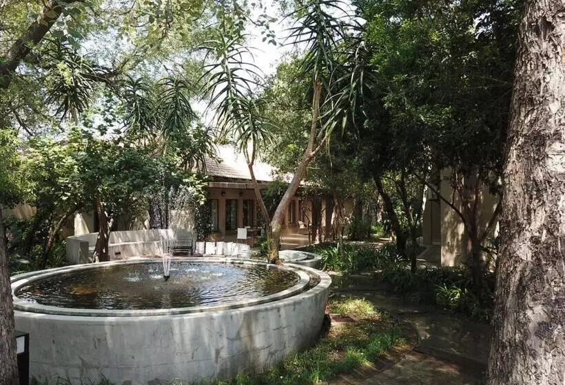 ペンション Mosate Guest House