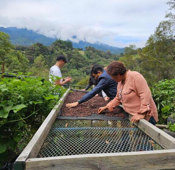 تختخواب و صبحانه Eco Horqueta