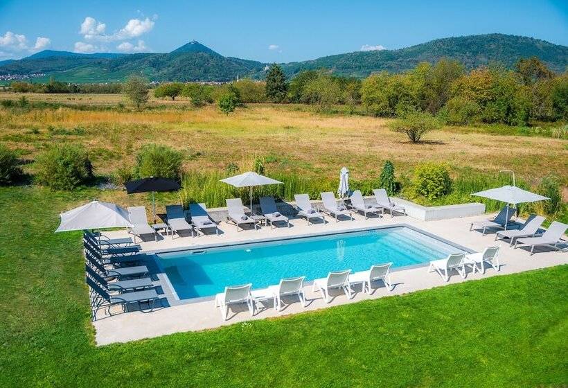 Best Western Plus Hotel & Restaurant Les Humanistes Colmar Nord