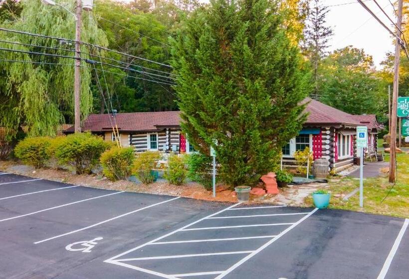 Отель Log Cabin Motor Court