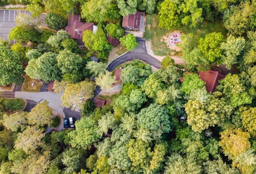 Отель Log Cabin Motor Court