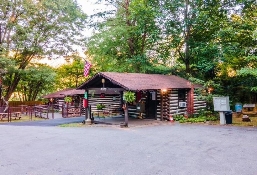 Отель Log Cabin Motor Court