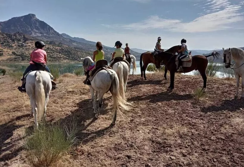 پانسیون Hostal Caballero