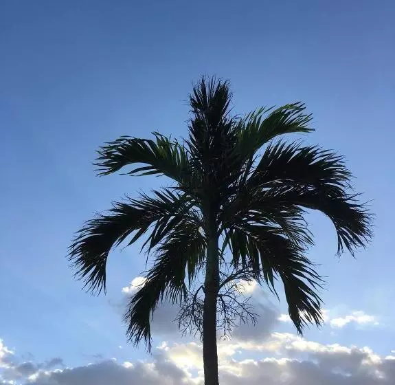 Y  Rise To Hotel Miyakojima