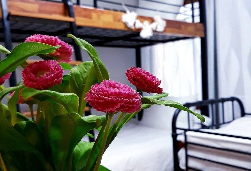 膳宿费 Hue Guesthouse