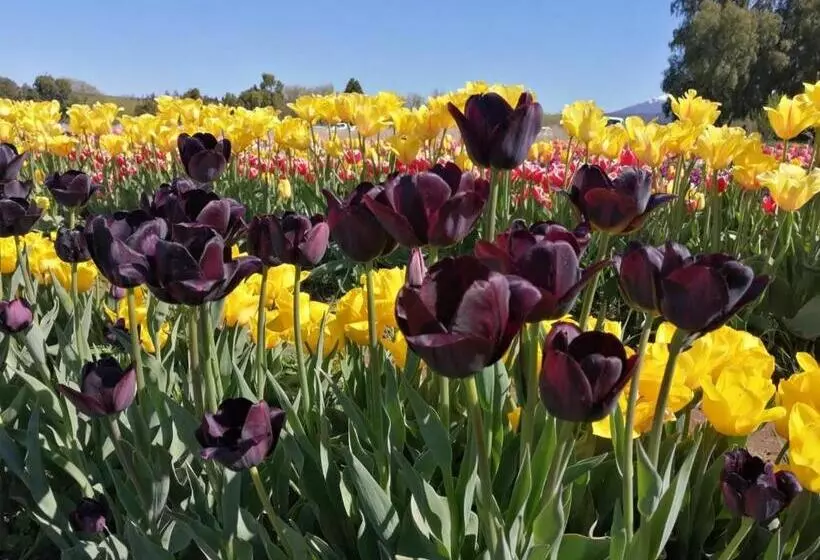 Retkeilymaja Hostería La Portada