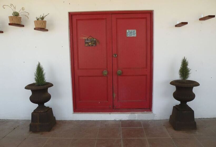 مبيت وإفطار Sebisa