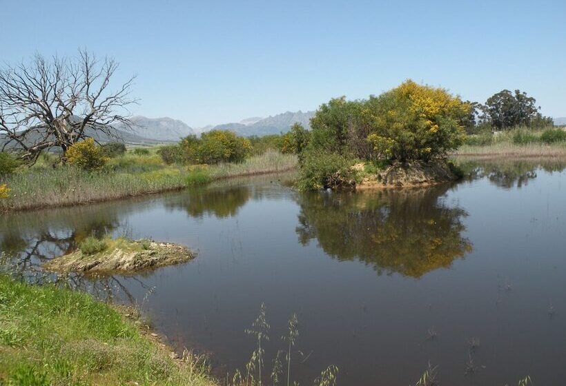 مبيت وإفطار Sebisa