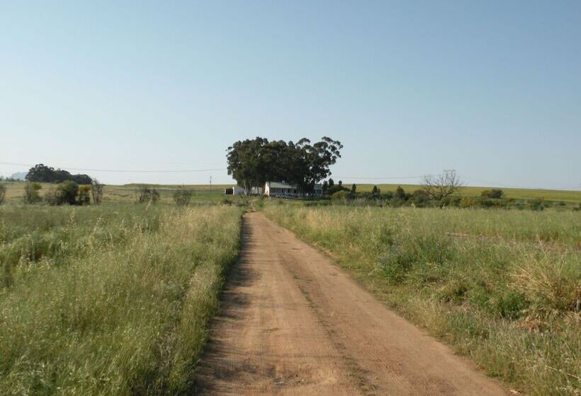 مبيت وإفطار Sebisa