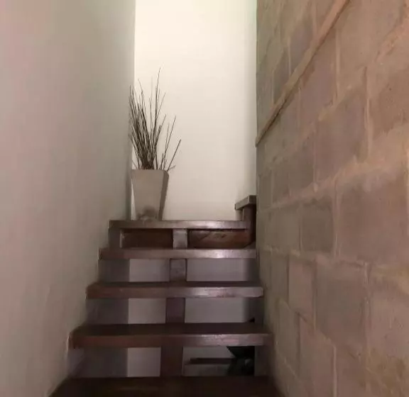 Majatalo Costa De Tigre, Habitaciones