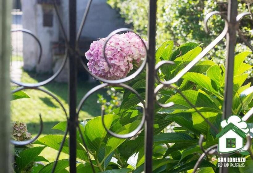 민박 San Lorenzo Byb