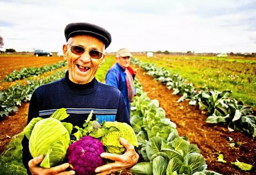 ホテル Masseria Sierro Lo Greco
