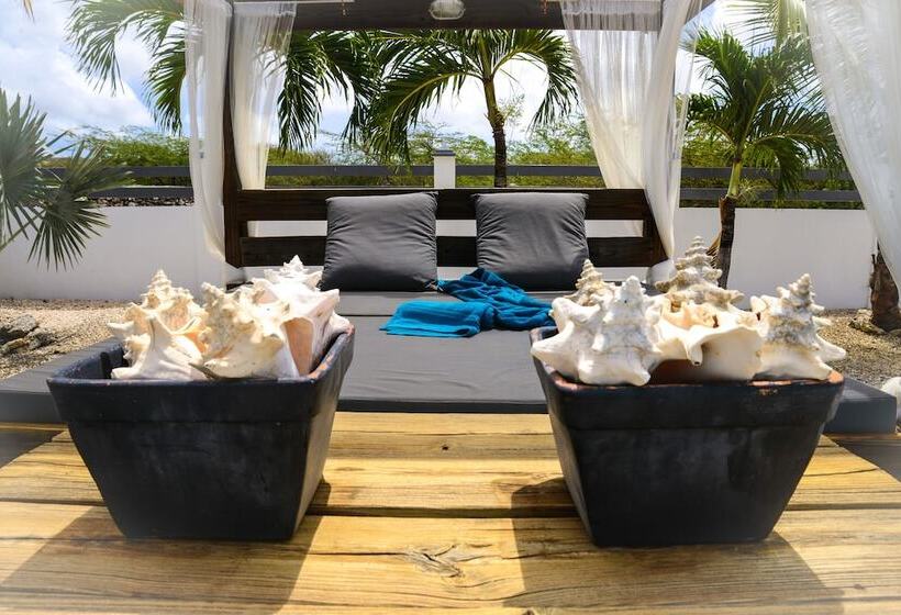 هاستل Hakuna Matata Bonaire Beach & Diving