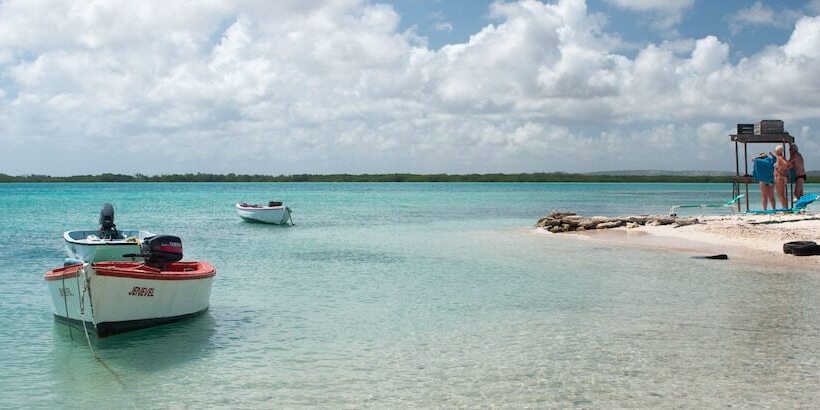 هاستل Hakuna Matata Bonaire Beach & Diving