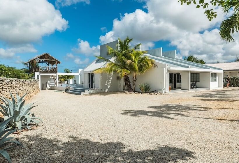 هاستل Hakuna Matata Bonaire Beach & Diving