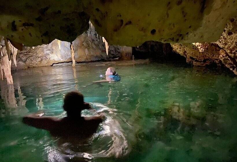 هاستل Hakuna Matata Bonaire Beach & Diving